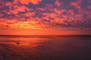 Seascape: USA, New Jersey, Cape May National Seashore. Ocean shore at