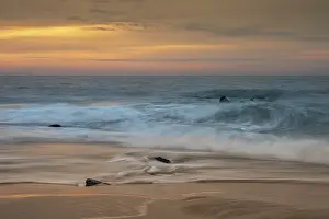 Seascape: USA, New Jersey, Cape May National Seashore. Ocean and waves