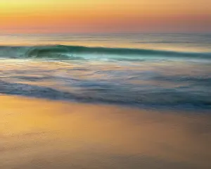 Seashore: USA, New Jersey, Cape May National Seashore. Wave