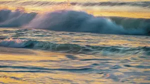 Seashore: USA, New Jersey, Cape May National Seashore. Wave