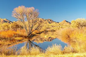 Gordon: USA, New Mexico, Bosque Del Apache National Wildlife