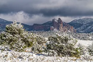 New Mexico: USA, New Mexico, Cibola National Forest. Fresh snow on