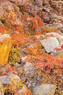 New Mexico: USA, New Mexico, Jemez National Recreation Area. Cliff and