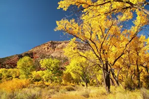 New Mexico: USA, New Mexico, Jemez National Recreation Area. Cliff and