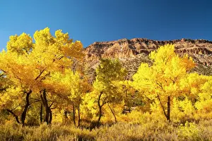 New Mexico: USA, New Mexico, Jemez National Recreation Area. Cliff and