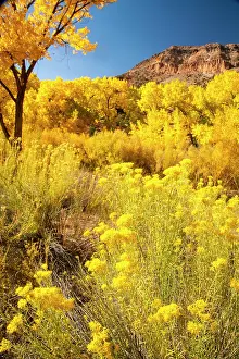 New Mexico: USA, New Mexico, Jemez National Recreation Area. Cliff and