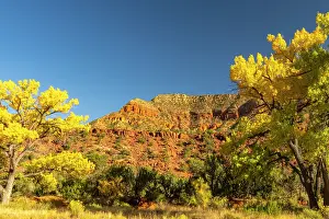 New Mexico: USA, New Mexico, Jemez National Recreation Area. Cliff and