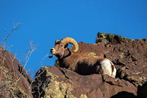 New Mexico: USA, New Mexico, Rio Grande del Norte National Monument