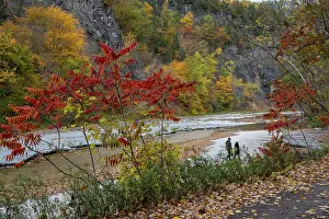 Autumn Color: USA, New York. Couple walking along creek, Taughannock Falls