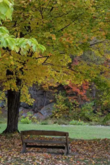 Relaxing: USA, New York. Park bench in Taughannock Falls State Park