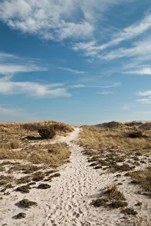 Imprint: USA, New York, Robert Moses State Park (Long