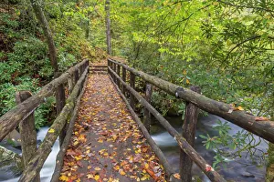 Bridge: USA, North Carolina, Joyce Kilmer Memorial Forest. Wooden
