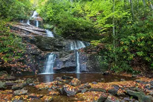 North Carolina: USA, North Carolina, Pisgah National Forest. Landscape with