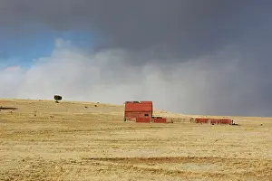 Prairies: USA - old barn on New Mexico Prairie with approaching