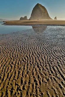 Stack: USA, Oregon. Cannon Beach with Haystack near sunset
