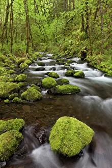 Oregon: USA, Oregon, Columbia River Gorge. Gorton Creek rapids. ic D