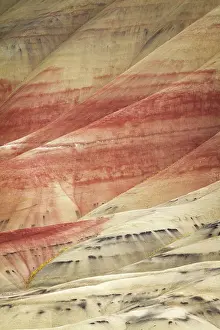 Beds: USA, Oregon, John Day Fossil Beds National Monument