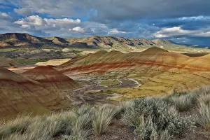 Beds: USA, Oregon. John Day Fossil Beds National Monument
