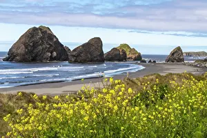 Stack: USA, Oregon. Pistol River Beach and sea stacks
