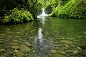 Hood: USA, Oregon, Punchbowl Falls, Eagle Creek