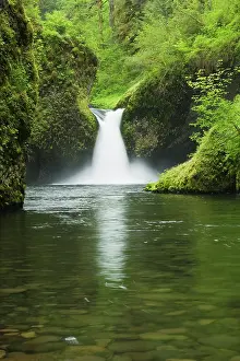 Hood: USA, Oregon, Punchbowl Falls, Eagle Creek