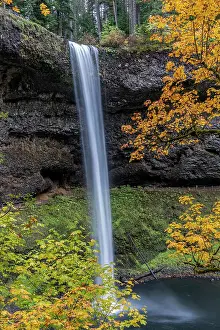Tall: USA, Oregon, Silver Falls State Park. Tall waterfall