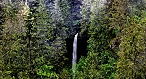 Oregon: USA, Oregon, Silver Falls State Park, North Falls