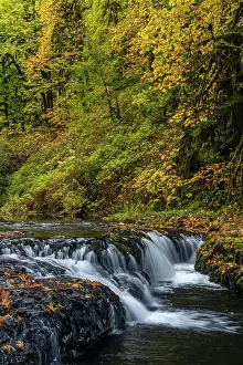 Jones: USA, Oregon, Silver Falls State Park. Waterfalls