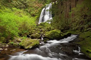 Upper: USA, Oregon, Siuslaw National Forest. Upper Kentucky