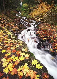 Fragility: USA, Oregon, View of Wahkeena Falls at Columbia