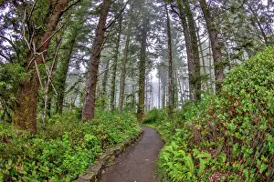 Hollice: Usa, Oregon, Yachats. Cape Perpetua