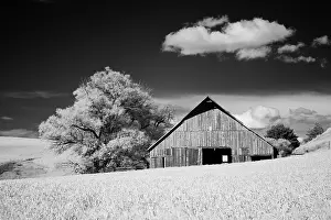 Amber: USA, Palouse Country, Washington State, Infrared