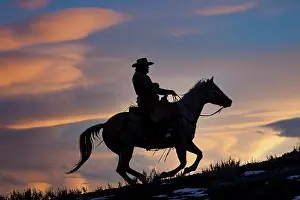 Model: USA, Shell, Wyoming. Hideout Ranch cowboy on horseback