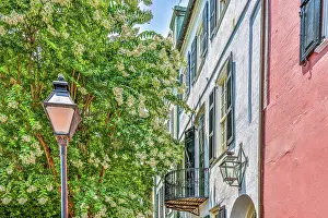 Hollice: Usa, South Carolina, Charleston