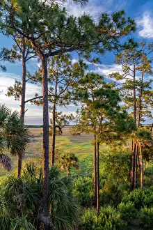 Early: USA, South Carolina. Kiawah Island, early morning