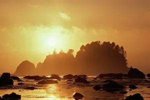 USA - Sunset, sea stacks