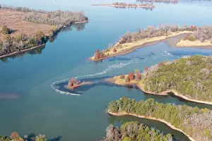 Islet: USA, Tennessee. White pelicans curve around islet