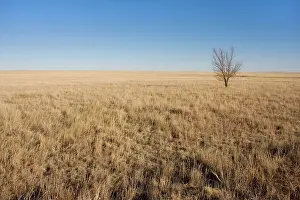 Panhandle: USA - Texas Panhandle Prairie