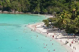 Board: USA, USVI, St John. Tropical winter getaway
