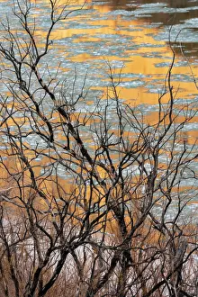 Floe: USA, Utah. Abstract design, reflections of canyon