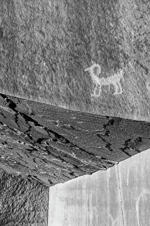 Ancient: USA, Utah. Ancient petroglyphs in Kane Creek Canyon