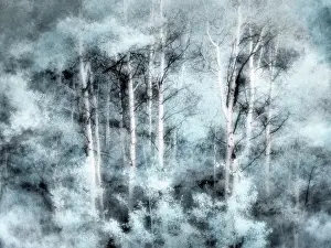 Eggers: USA, Utah, Aspen Grove in infrared of the Logan Pass area
