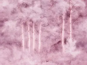 Eggers: USA, Utah, Aspen Grove in infrared of the Logan Pass area