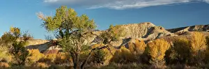 Plateau: USA, Utah. Bentonite hills and autumn cottonwoods