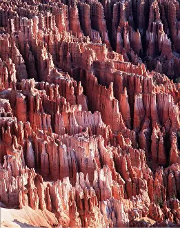 Canyons: USA, UTAH - Bryce Canyon National Park