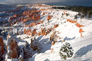 Sandstone: USA, Utah, Bryce Canyon National Park. Winter sunrise