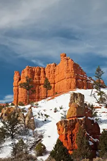 Bryce: USA, Utah, Bryce National Park. Red Canyon