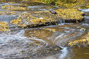 Grand: USA, Utah, Calf Creek Recreation Area in autumn