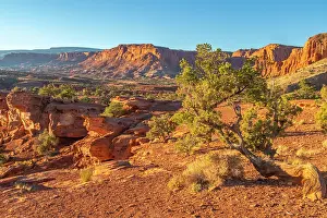 Gordon: USA, Utah, Capitol Reef National Park. Eroded rock