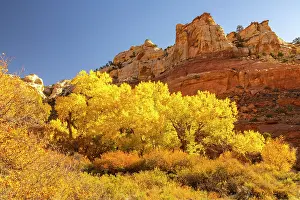 Grand: USA, Utah, Grand Staircase Escalante National Monument